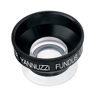 Ocular Yannuzzi Fundus